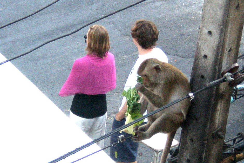 monkey-eating-beside-tourists-lopburi-thailand