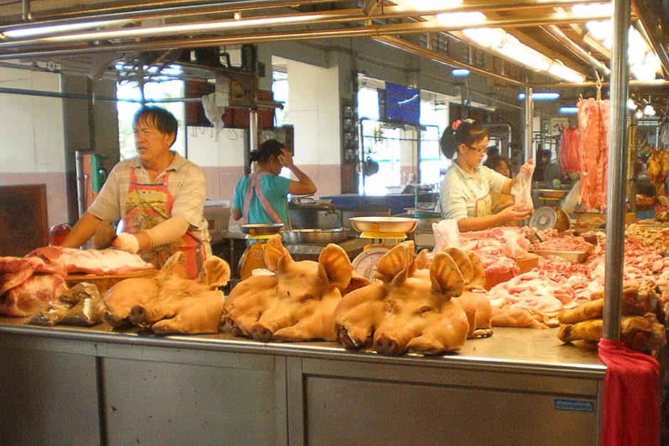 pig-faces-vendor-phitsanulok-thailand