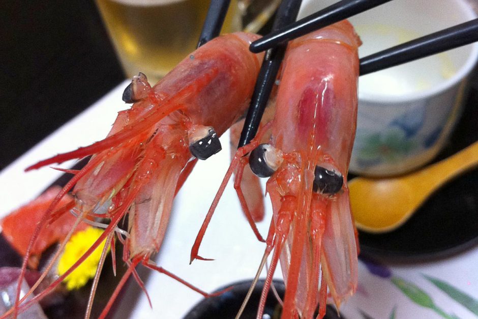 shrimp-on-chopsticks-japan