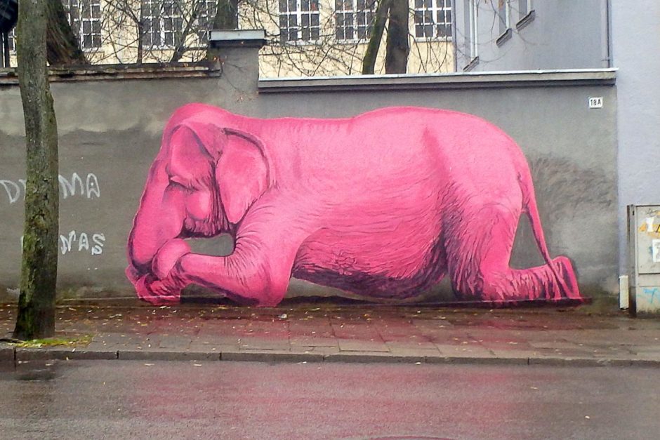 pink-elephant-graffiti-kaunas-lithuania