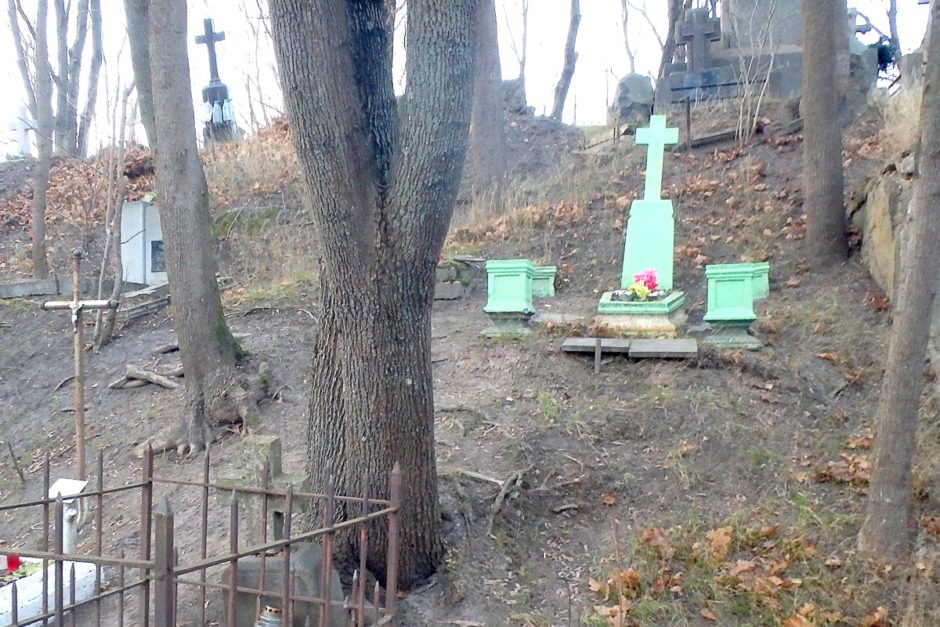 turquoise-gravemarkers-siauliai-cemetery-lithuania
