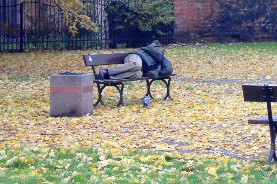 guy-sleeping-on-bench-gdansk-park-leaves