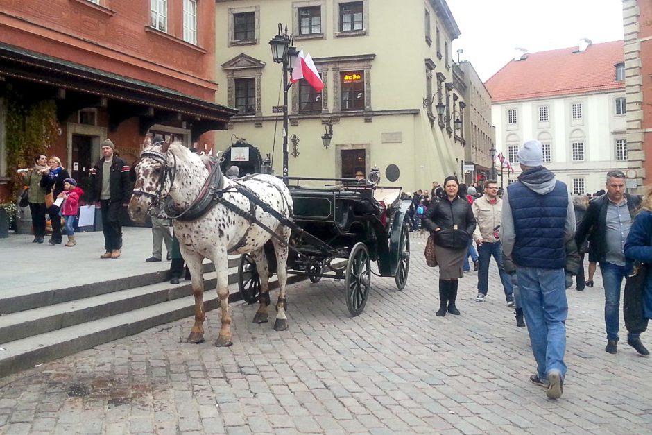 horse-buggy-old-town-warsaw-poland