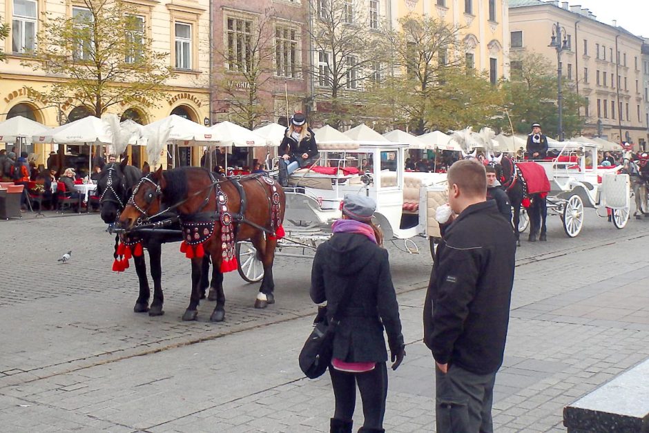 horse-carriages-old-town-krakow-poland