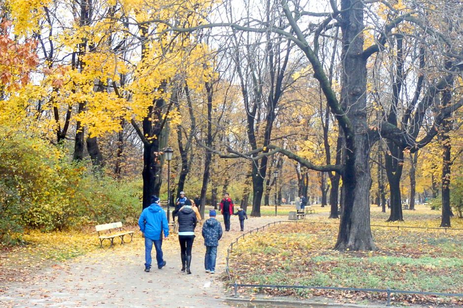 people-walking-autumn-park-warsaw-poland-leaves