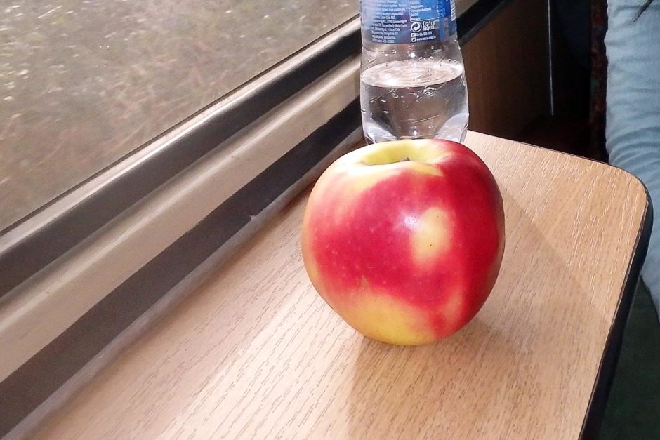apple-on-train-to-lake-balaton-hungary