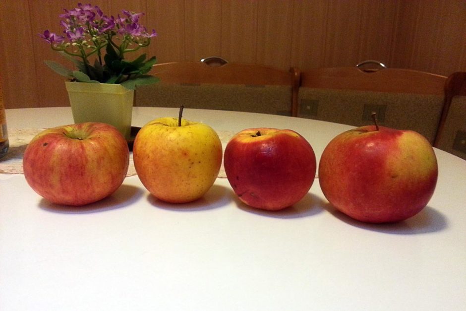 homegrown-apples-penzion-oaza-levoca