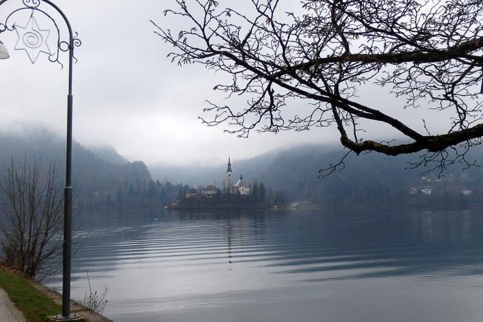 lake-bled-island-reflection-bare-trees-foreground