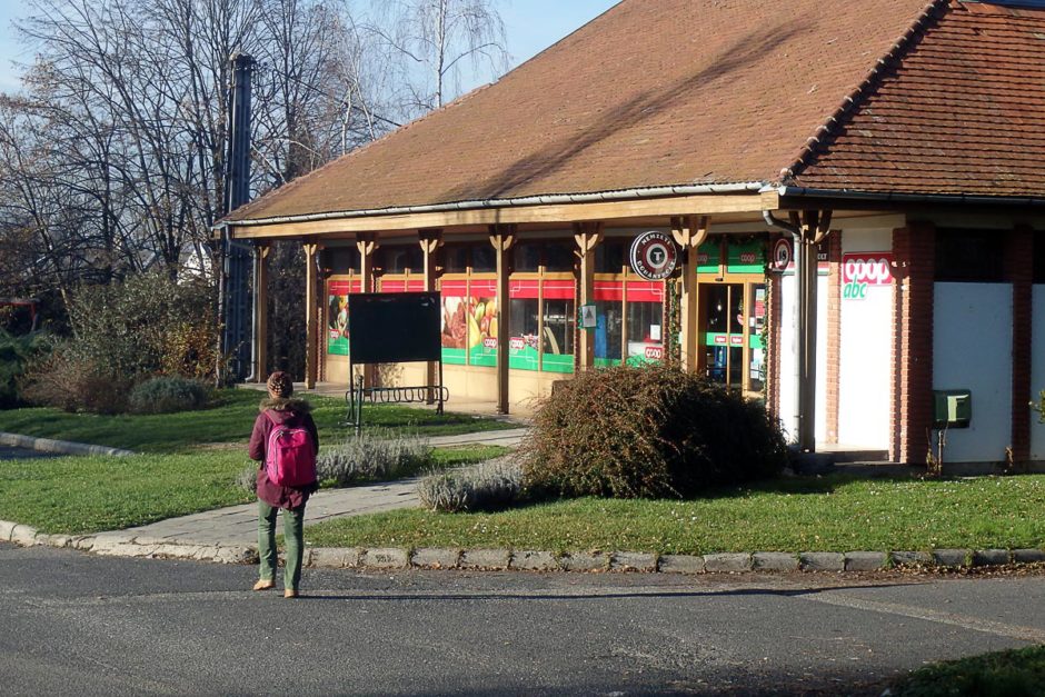 masayo-walking-coop-szigliget-hungary