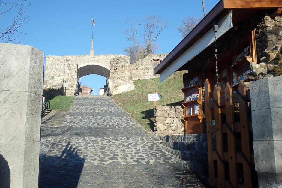 szlgliget-castle-entrance-gate-sky