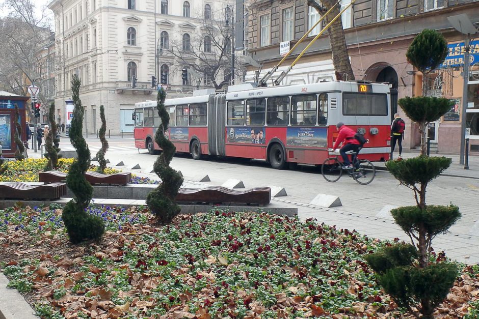 tree-sculptures-bus-budapest-plaza