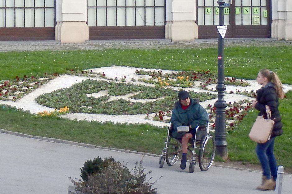 wheelchair-flowers-display-zagreb-sidewalk