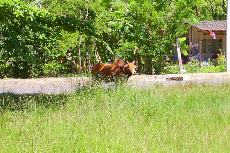 Forget the big cities – go to the provinces