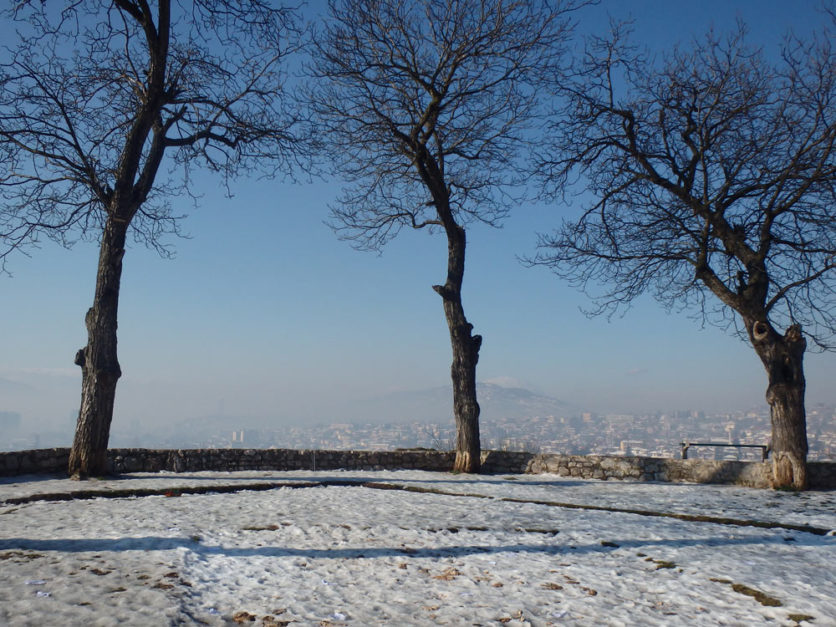 Great views and wild dogs: Final day in Sarajevo