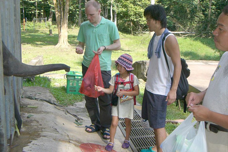 The view of Malaysia from atop an elephant