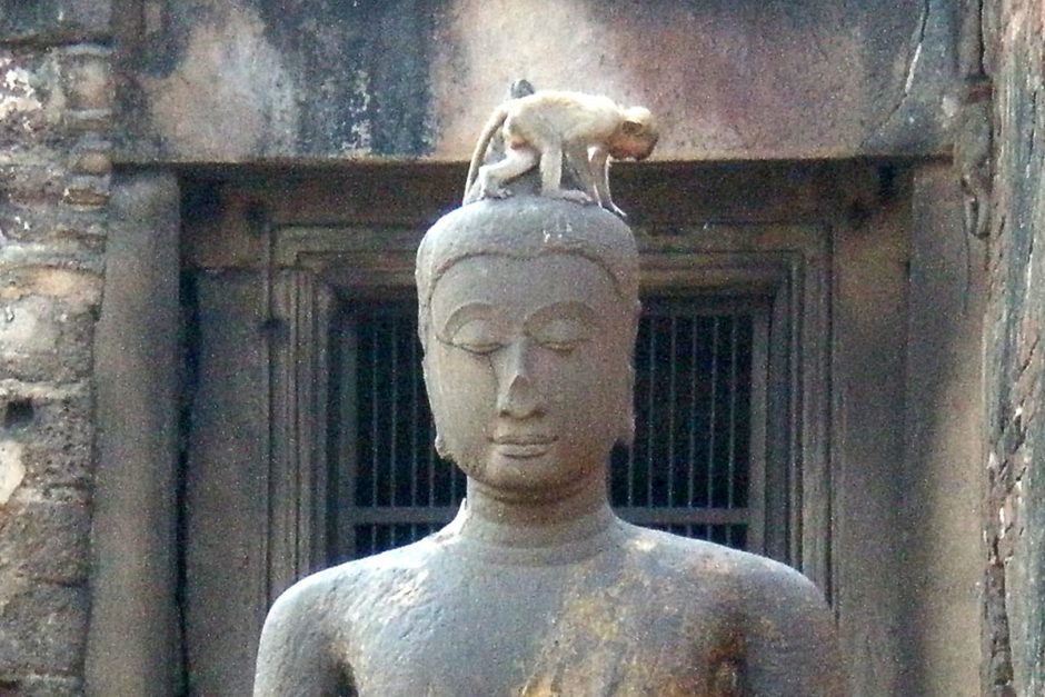How to coexist with Lopburi’s monkeys