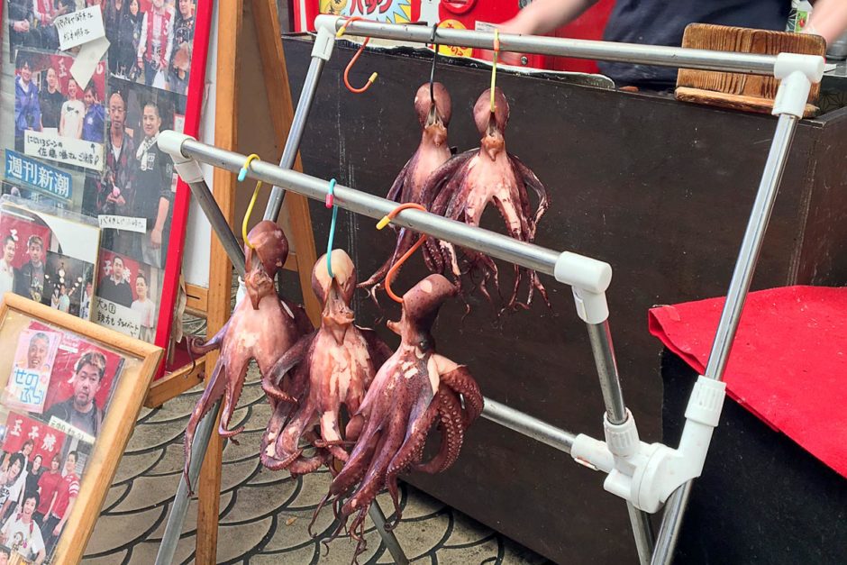Mini-travel: Akashi, Japan and octopus blood sugar