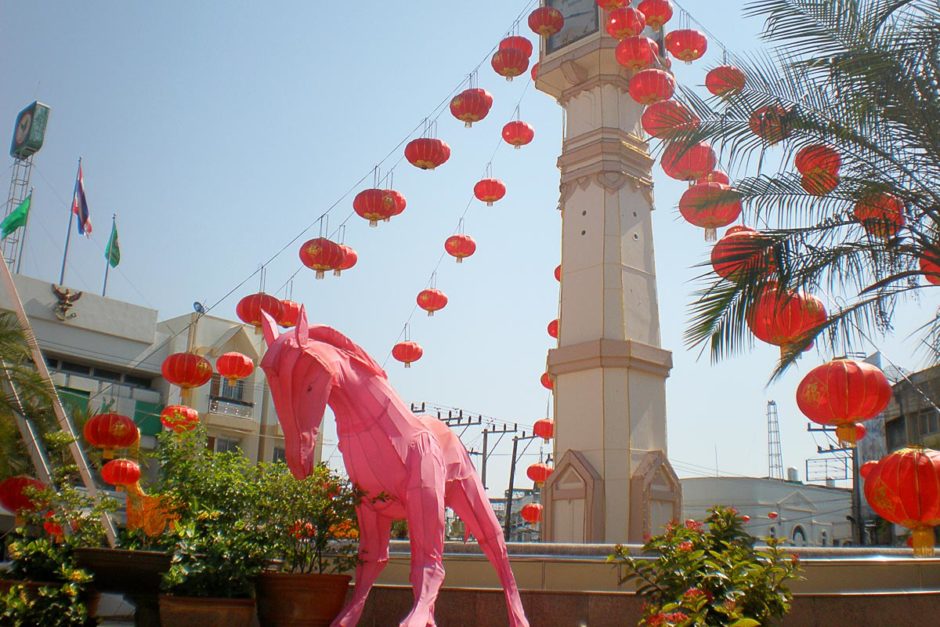 Pigs, roaches, and other tasty morsels from Phitsanulok